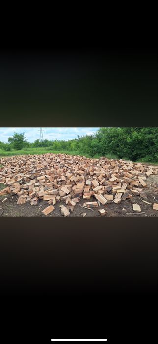 Lemne de foc Fag si Stejar