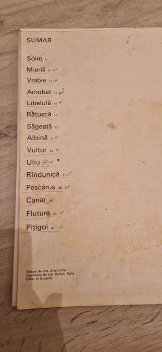 Planoare in zbor de randunica