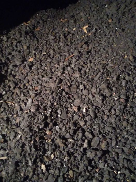 Подарявам сгурия