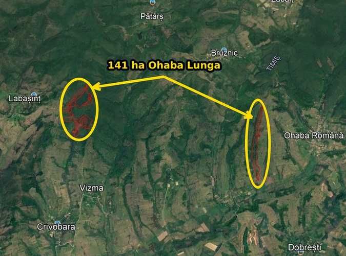 Padure de vanzare Timis: 140 ha Ohaba Lunga + 222 ha Fardea - Vedere 2