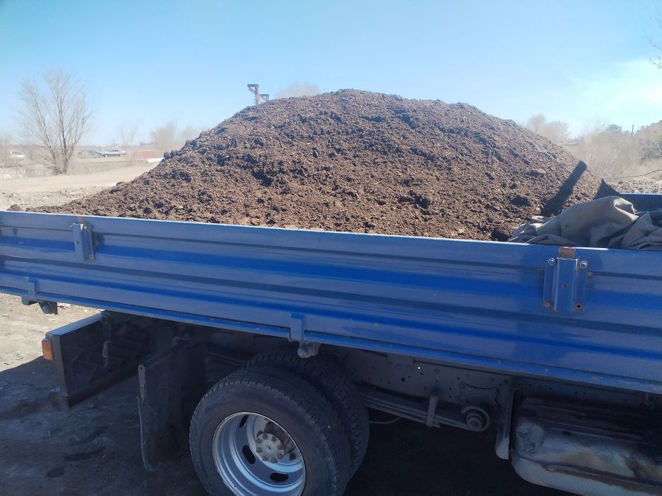 Перегной  Конский Гавяжый