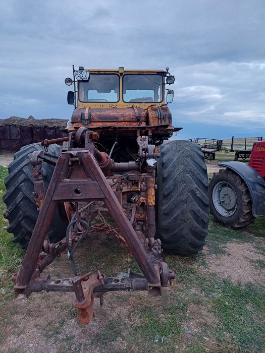 Кировец горбатый