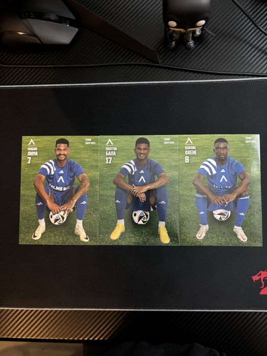 Левски София Карти 2024/25