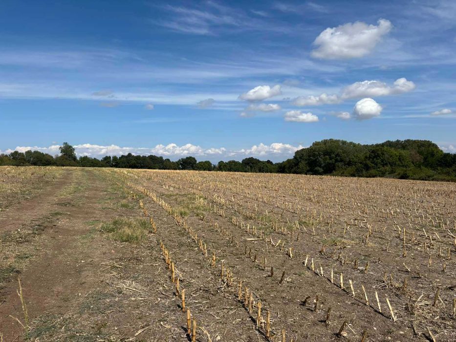 Продава се Парцел в с. Стоево, Област Пловдив - 5581 кв.м за 13 €/кв.м - Снимка #1