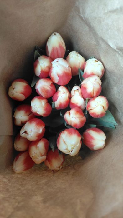 Тюльпаны ОПТОМ Розы Оптом