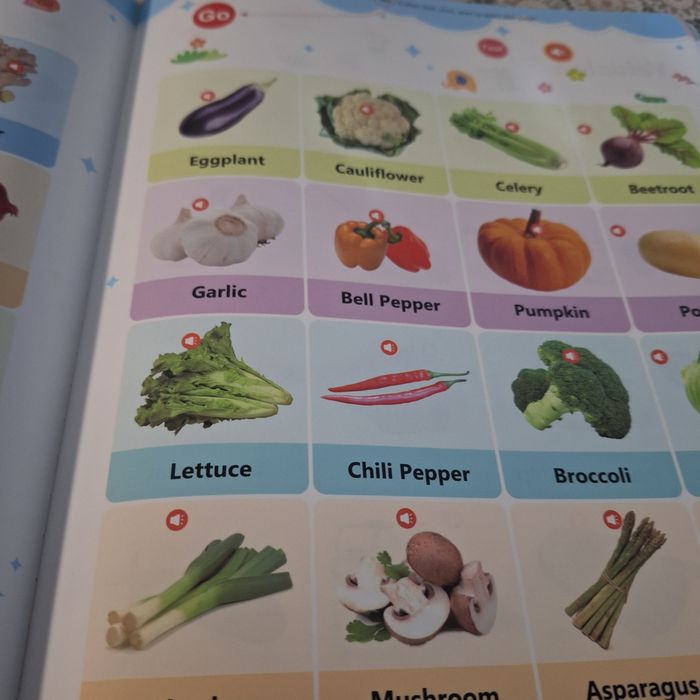 Книжка за първи стъпки в английският език