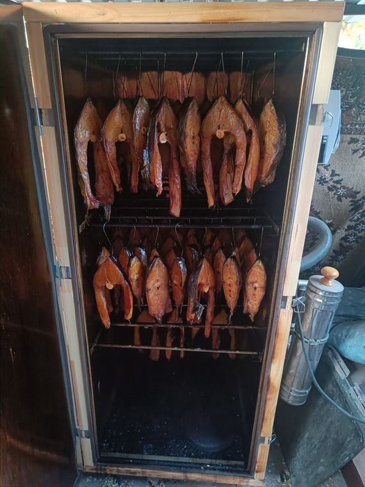 Копчёная рыба сом, жерех , лещ