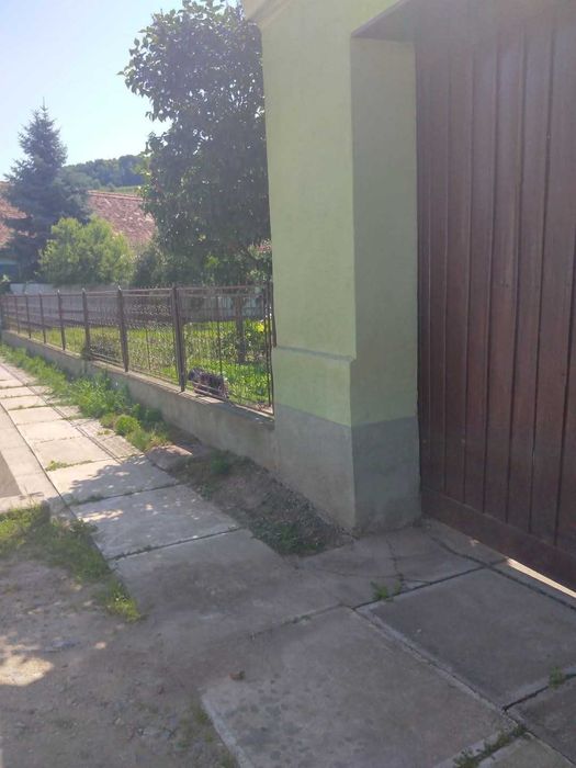 Casa de vanzare perfecta pentru pensiune sau restaurant