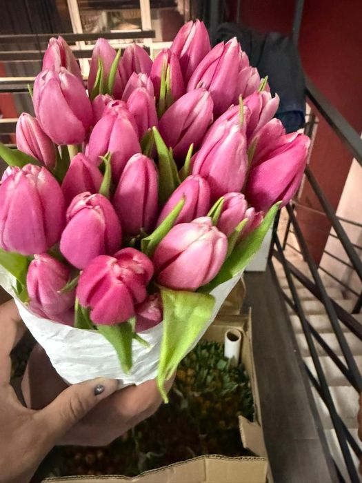 Оптом тьюлпаны всех сортов