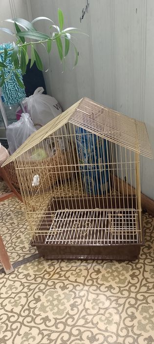 Клетка для птиц.