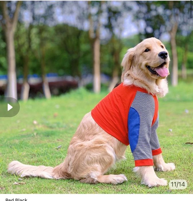 Пуловер/ блуза за куче голяма порода