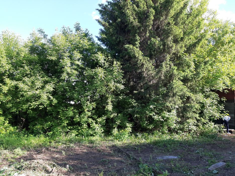 Продам дачный участок