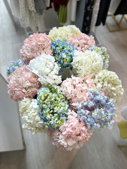 Идеальное комбо гартензии продается