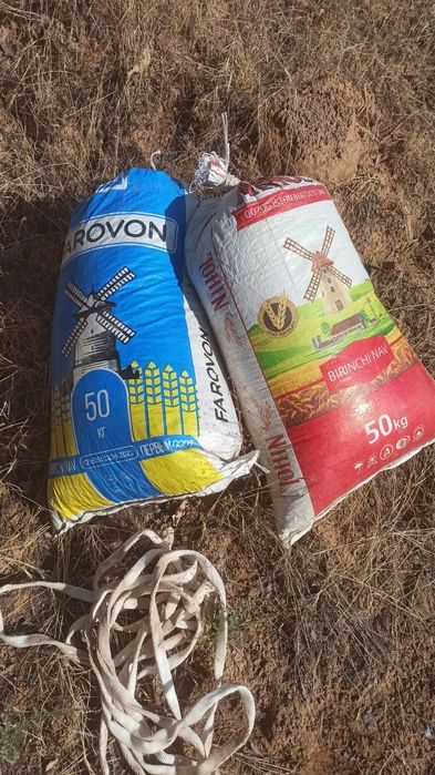 Bobo Toğ kavrak uruği bor sotiladi 240 kilo