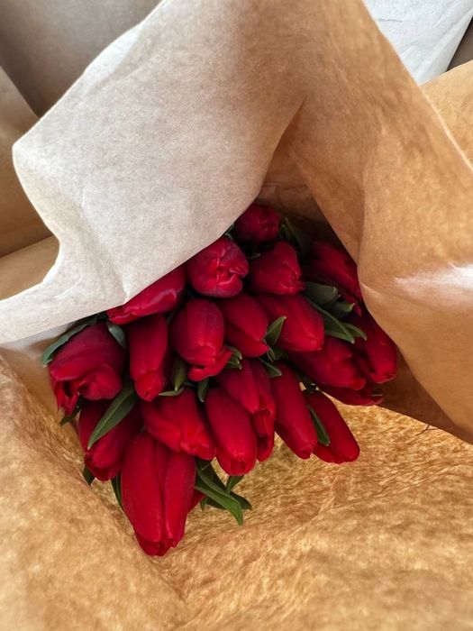 Продам тюльпаны оптом или Розничный