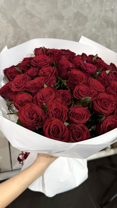 Красные розы 51шт