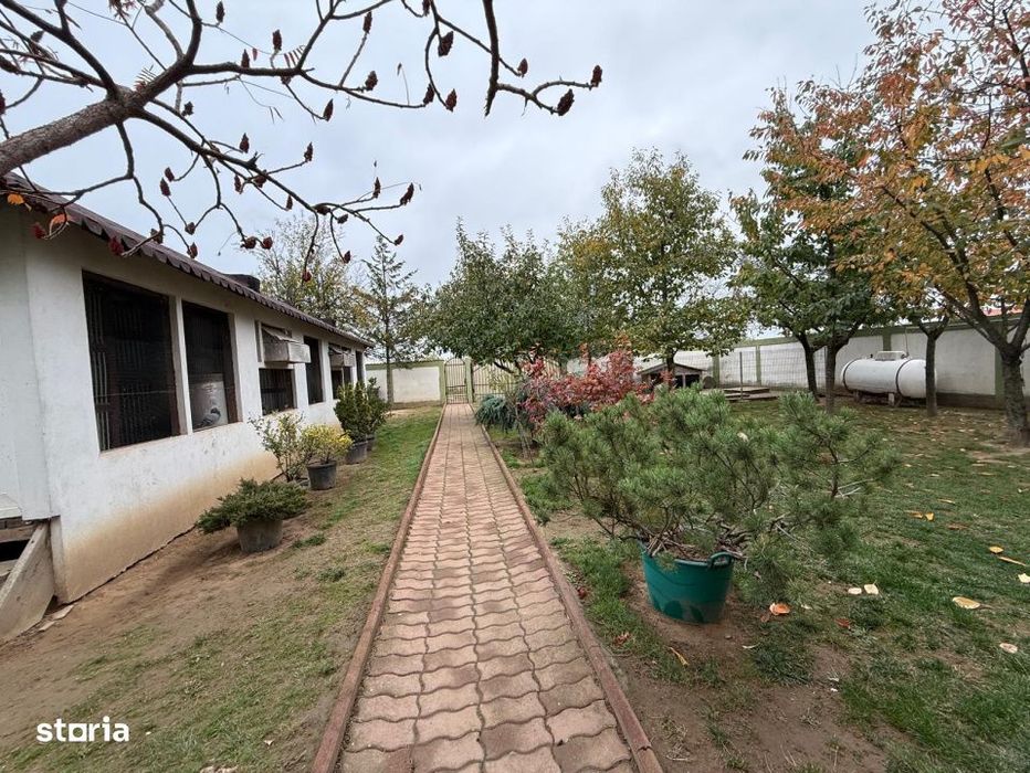 Casa D+P+M, 713 MP teren, 300 MP utili, Carcea, zona Metro