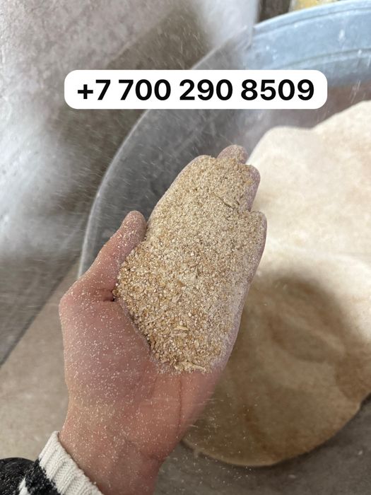 Пшеница дробленаая оптом