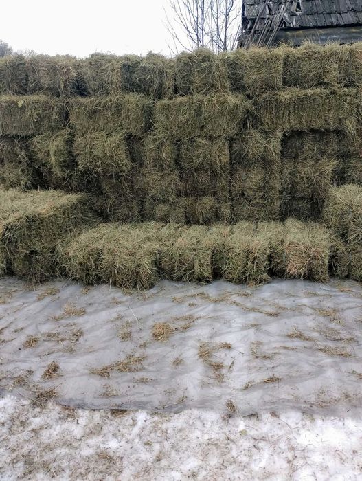 Baloți fân de munte