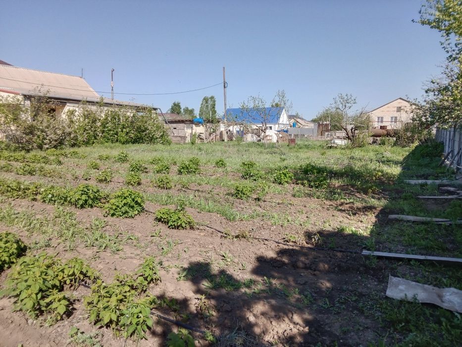 Продам участок 10 соток в Асане | ЛПХ