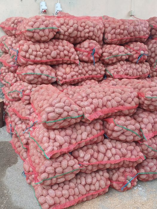 Cartofi roșii și albi