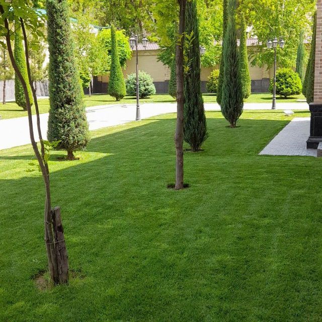 Bogʻbon  Landshaf dizayner