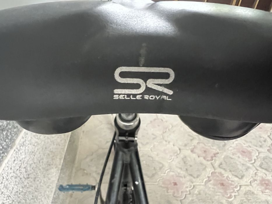 Pegasus solero made in Germany