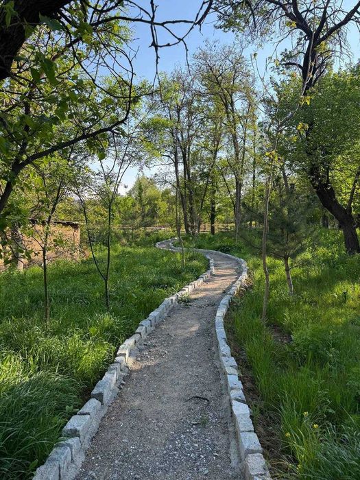 ~Сдается дом 100 м² в Мирзо-Улугбекском районе с участком 14 соток!