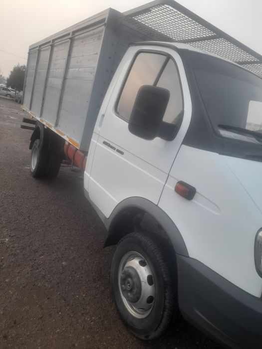 Газел бартавой сотилади