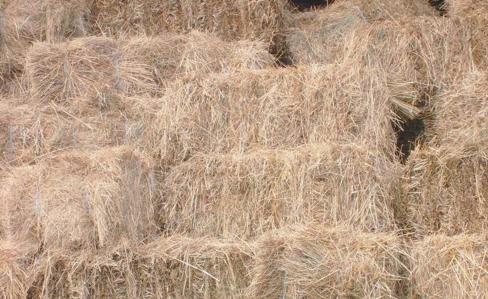 Vand baloti fan Moraresti - Arges