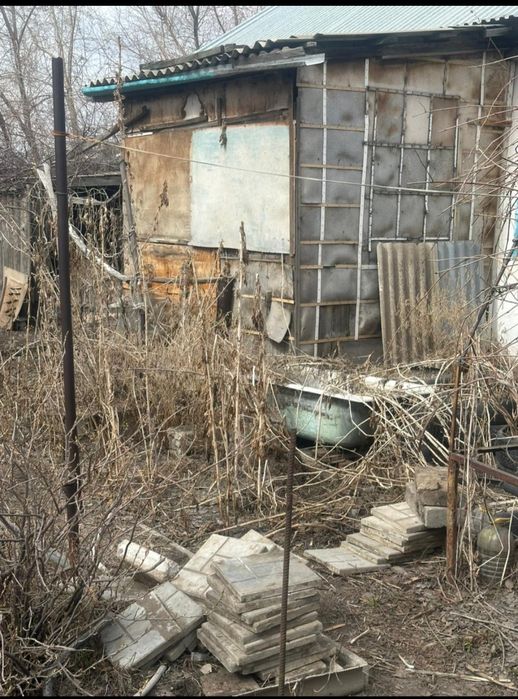 Дрова отдам бесплатно