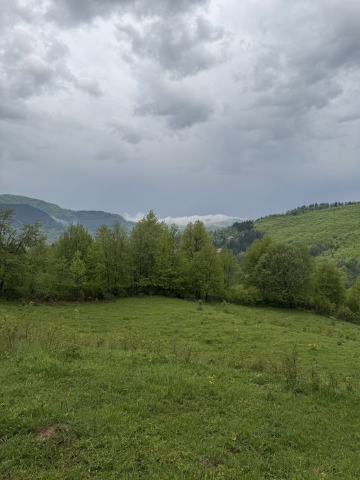 Teren de vanzare Valea Doftanei 2368mp