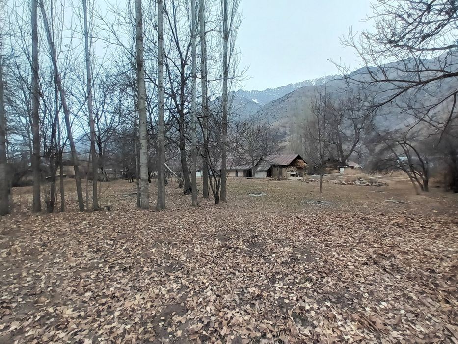 Здравствуйте дорогие друзья я вам обейвляю у меня есть земля каторие в