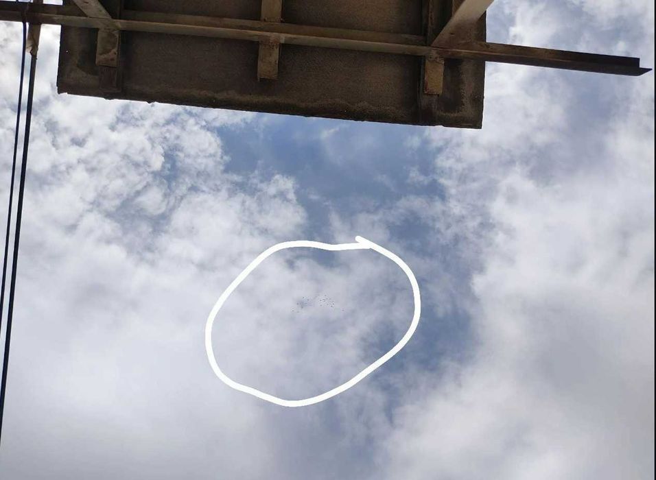 ИНДОПАКИСТАНСКИЕ Высоко-долголётные игровые ГОЛУБИ