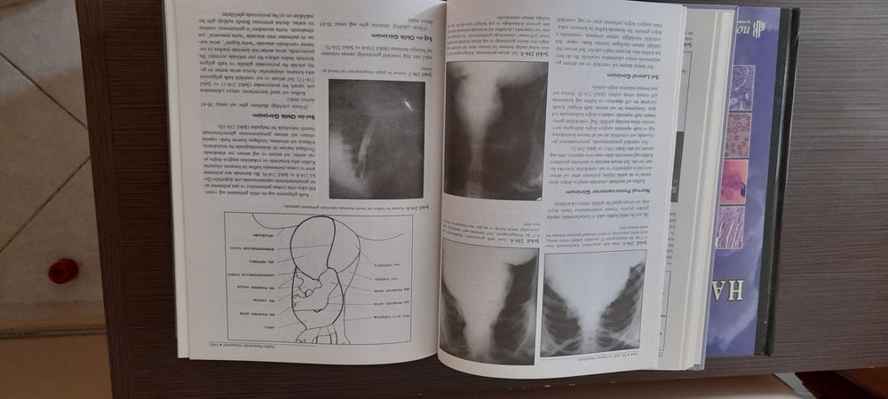 Лекарски книги  на турски език