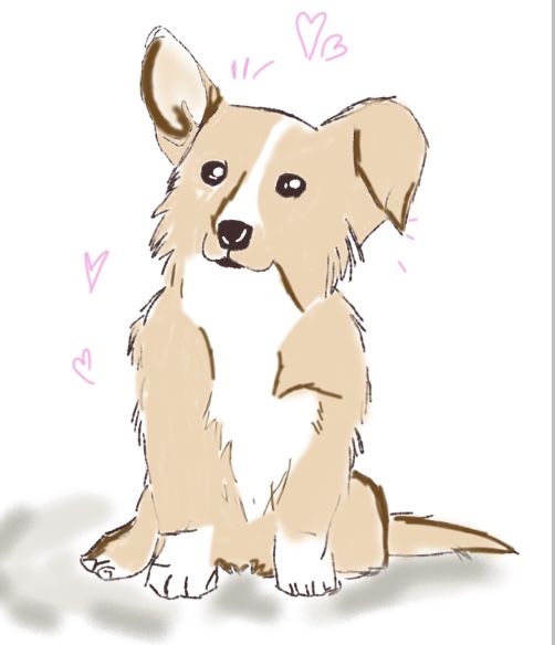 Рисую ващих питомцев!!