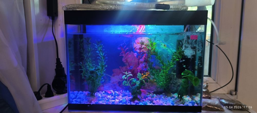 Продам аквариум объём 20л