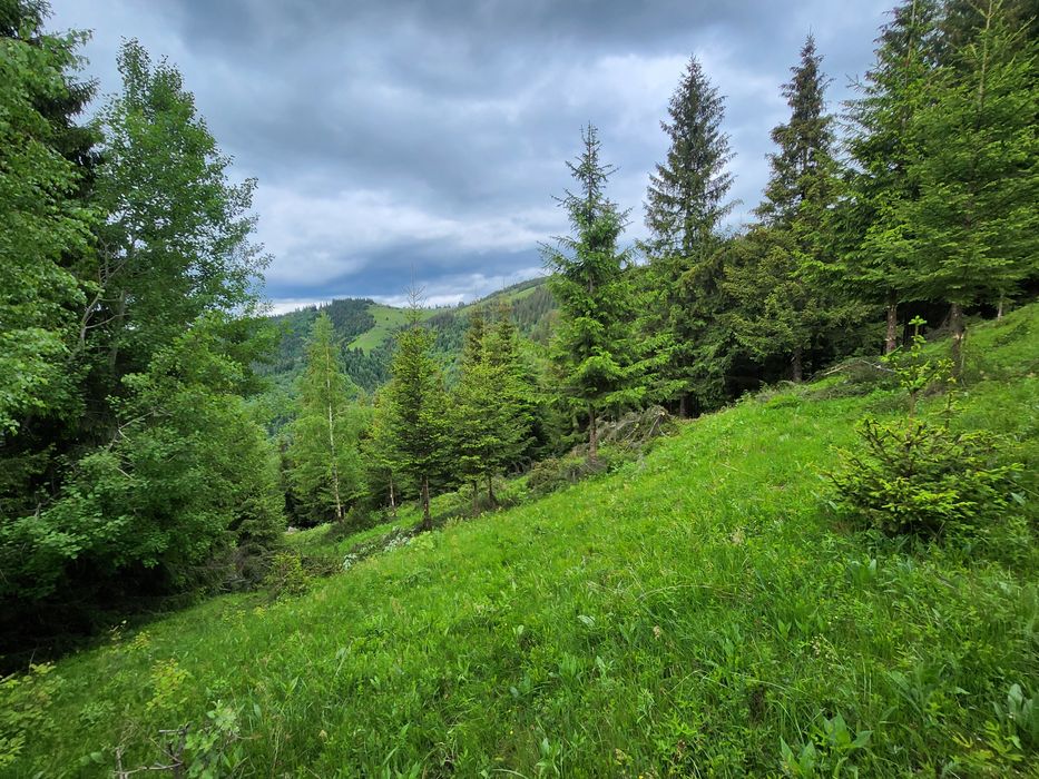 Vand teren  Maguri Racatau