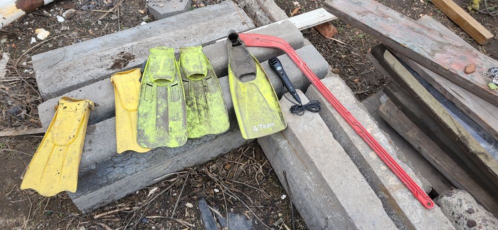 Подарю бесплатно ласты, все остальное забрали