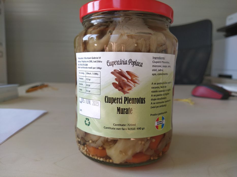 Ciuperci Pleurotus