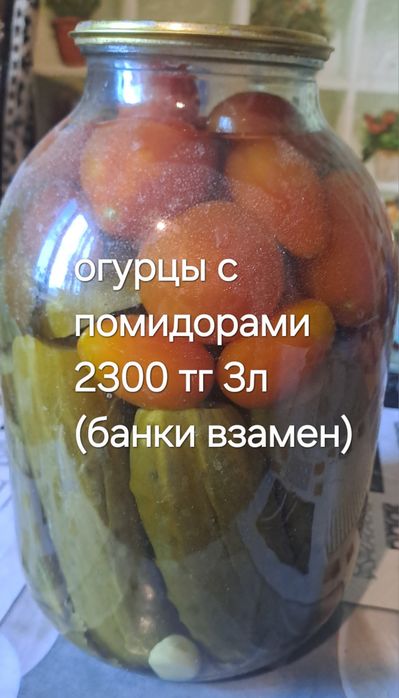 Засолка 2026 года