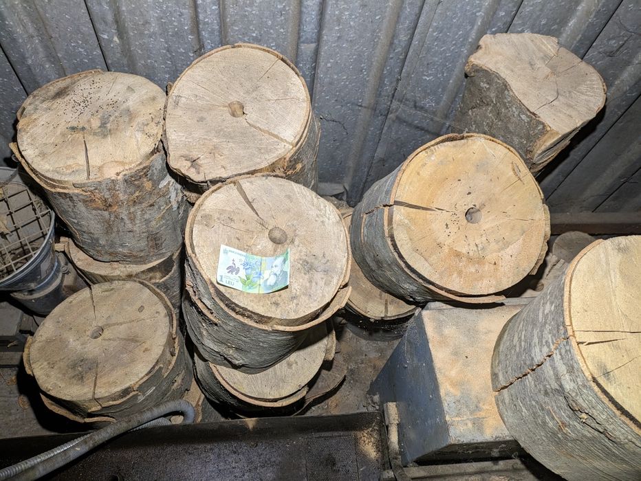 Vând lemne de foc pt sobă ,uscate, la palet sau la kg.