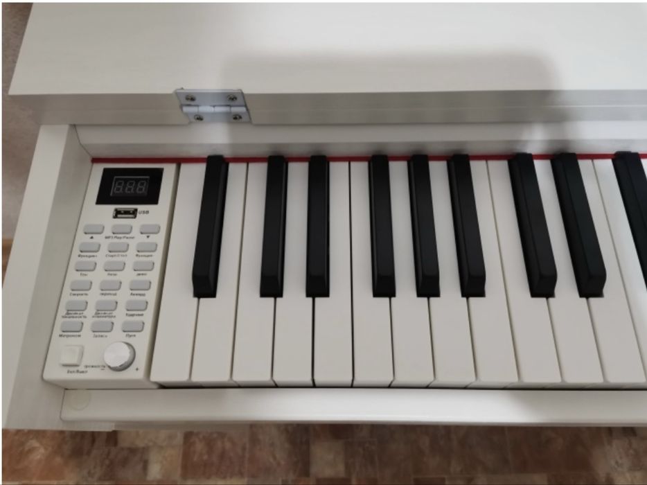 Цифровое фортепиано!