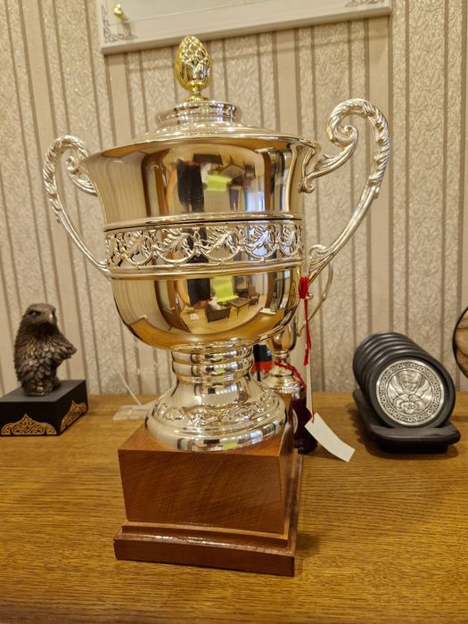 Трофей-кубок серебро Италия