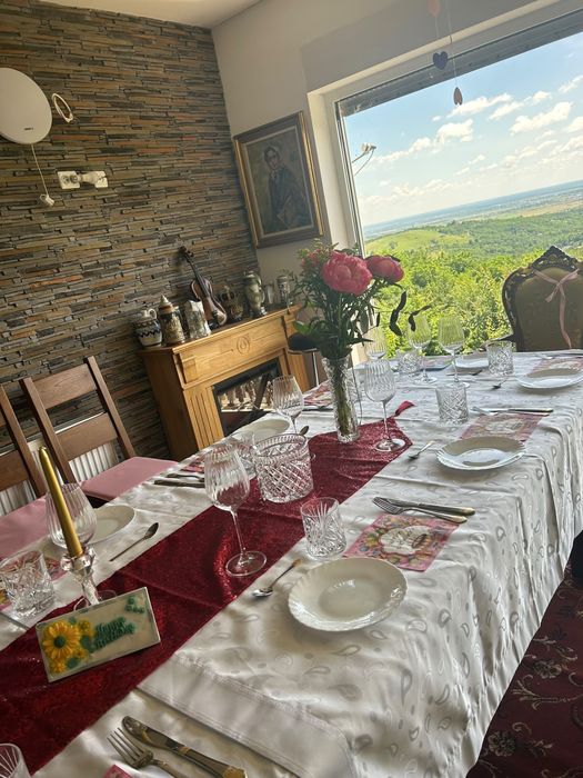 Evenimentul tău de la A la Z - Casa Nelly (Seciu) - sală de evenimente