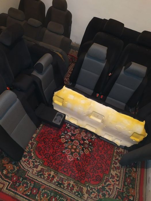 Sideniya jentra 2024 yil