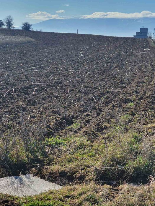 Продава се Земеделски имот в с. Подгумер, Област София-град -  кв.м за 24 €/дка - Снимка #4