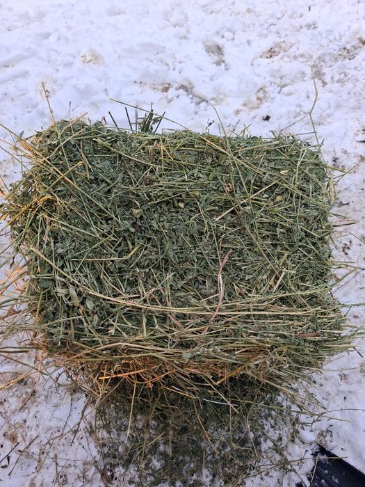 De Vânzare Baloti  De Lucerna dreptunghiulari