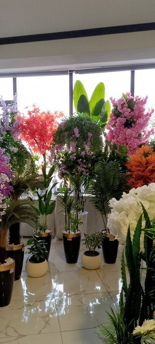 Суний дарахтлар олами суний гуллар.