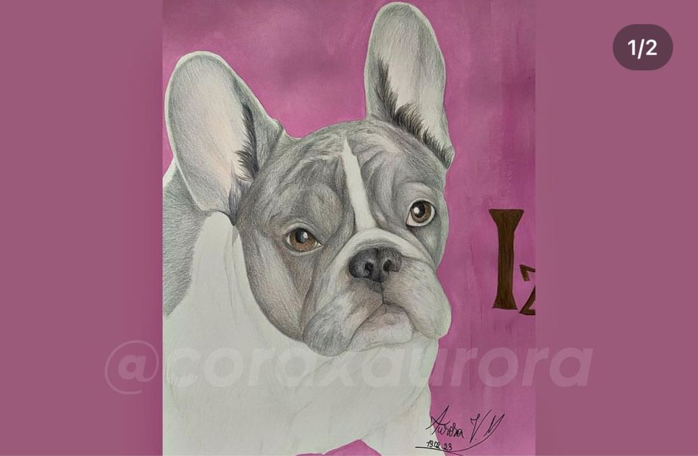 Portete, picturi, desene etc